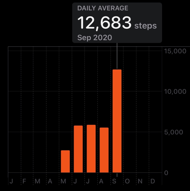 steptember/steps-per-month.jpg